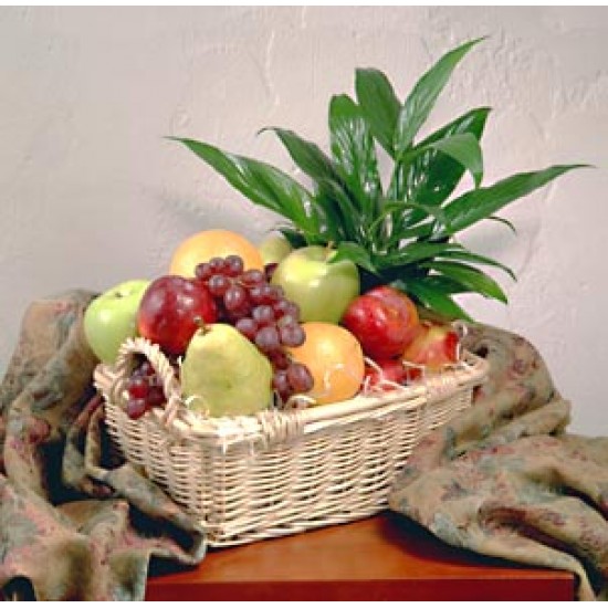 Panier de fruits et verdure