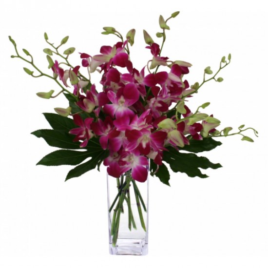Funeral Arrangement Splendid Orchids